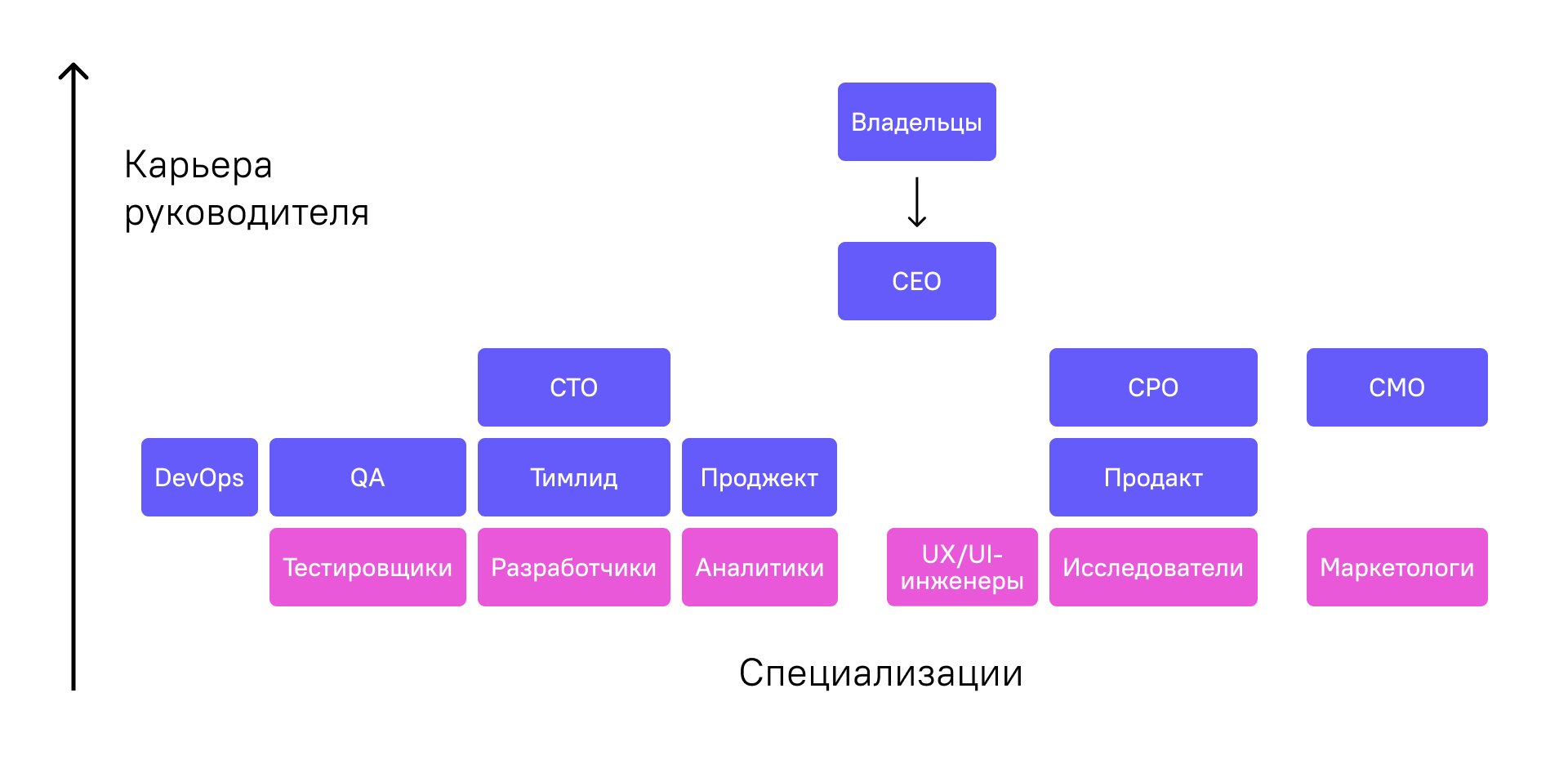 Diagram of who grows into whom: specialist roles in pink, responsibility roles in blue