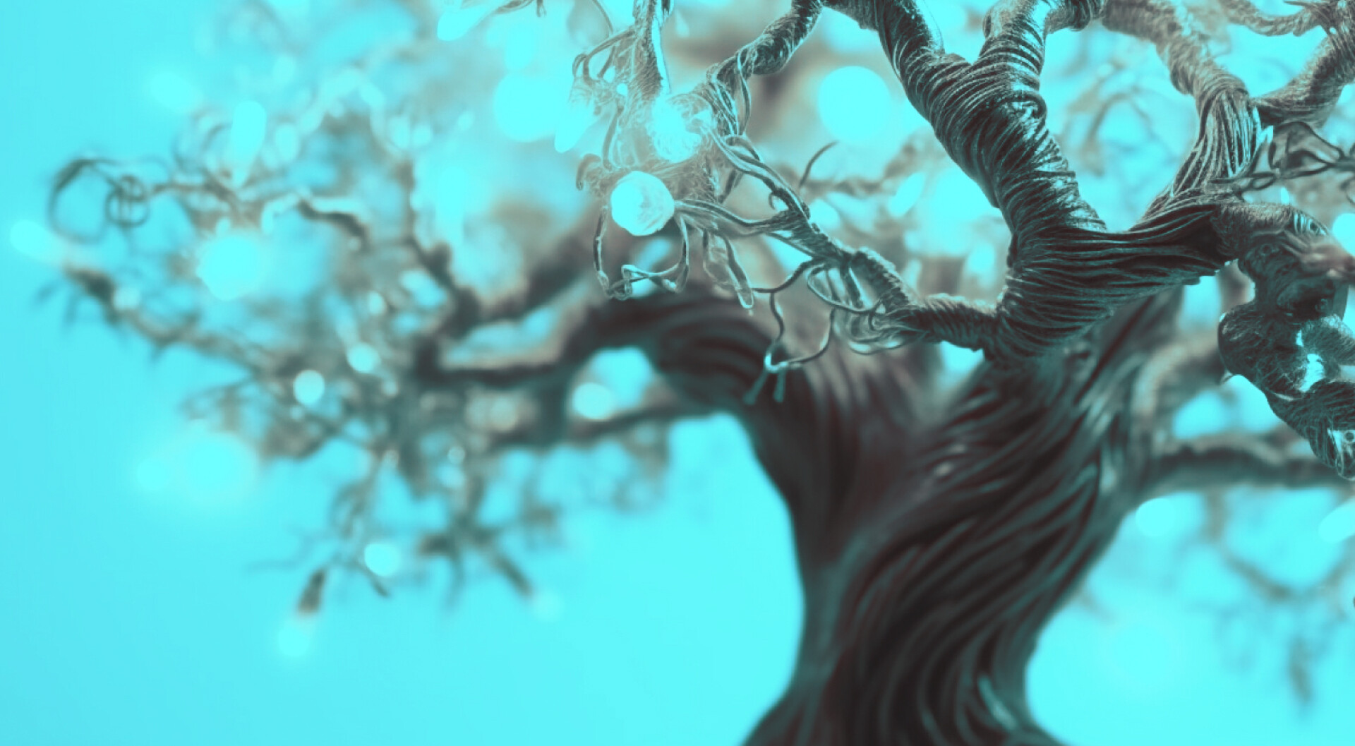 Close-up of interwoven twisted branches against a turquoise background — a trunk with branches growing out of it