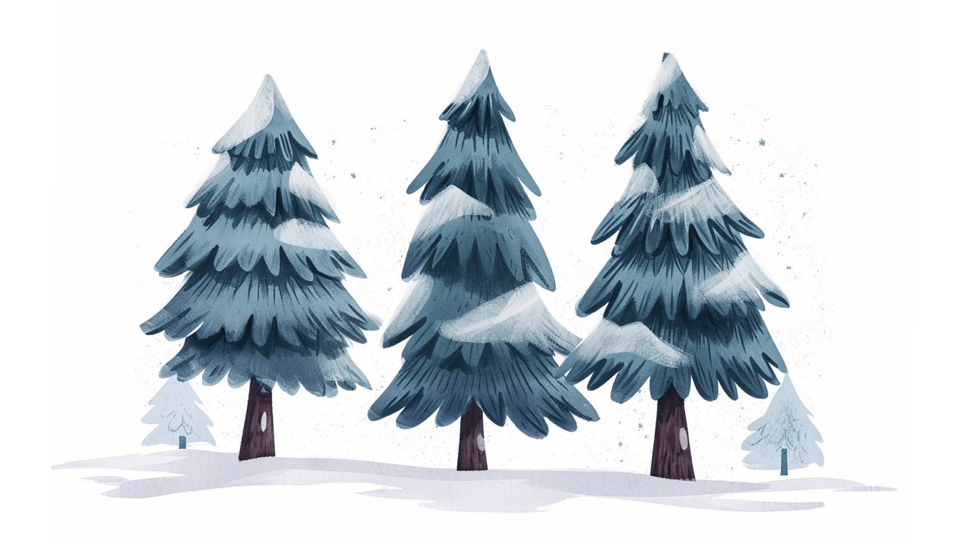 A spruce whose side branches start right from the bottom, hiding the trunk